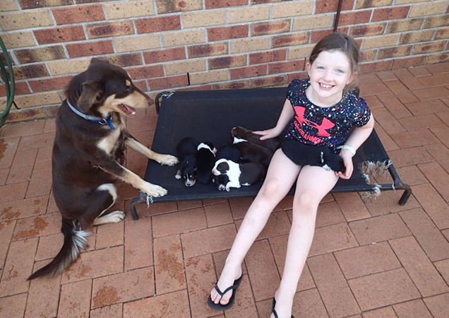Foster dog Angel and her puppies with one of Judy's neighbours.